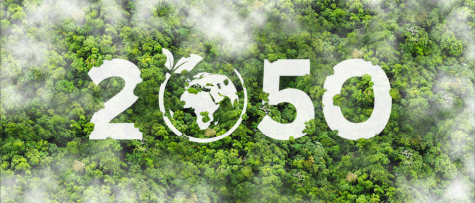 プロモーション映像