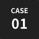 CASE1