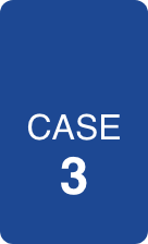 CASE3